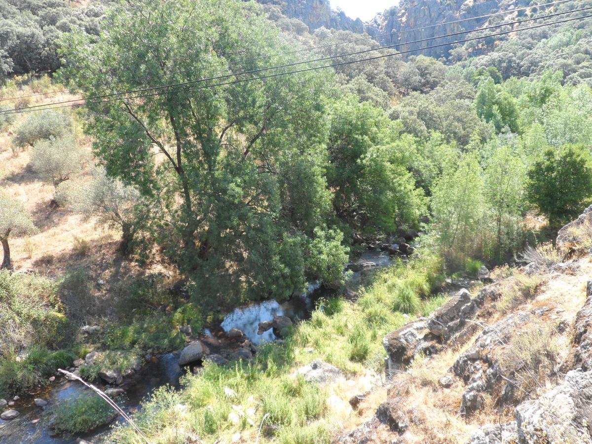 Hostal Via Del Caminante Madrigalejo Εξωτερικό φωτογραφία